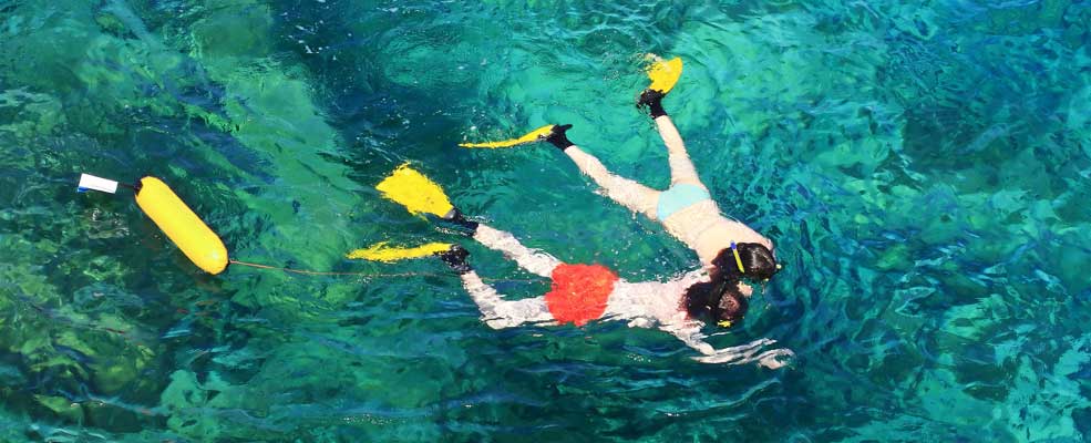 Snorklling & Scuba diving