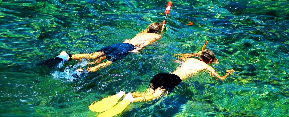Snorklling & Scuba diving
