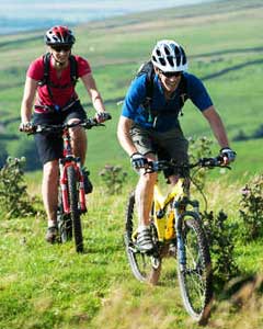 Bike tours