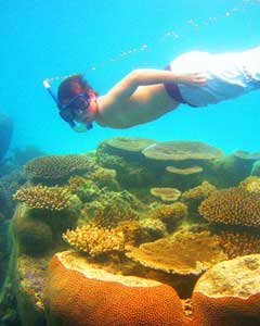 Snorklling & Scuba diving