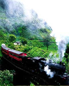 Train Tours