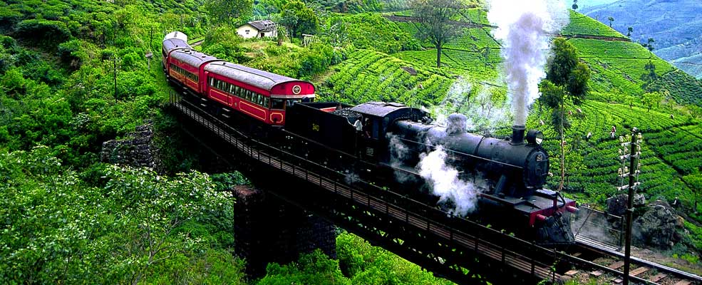 Train Tours