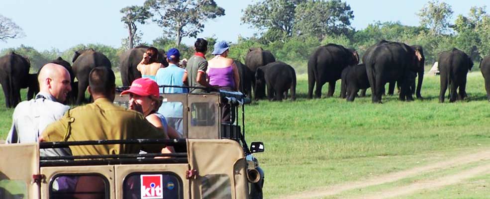 Sri Lanka Wild Life
