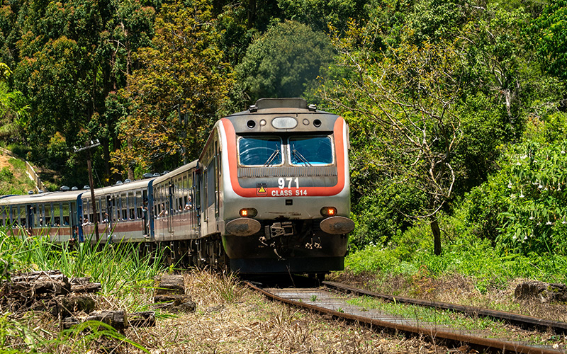 Train tour