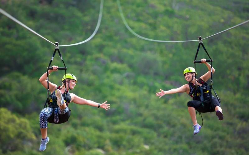 Zipline